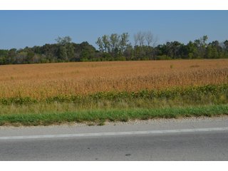 Property photo 36 - REAL ESTATE AUCTION - 604+/- ACRES IN 14 TRACTS IN MERCER CO., OHIO